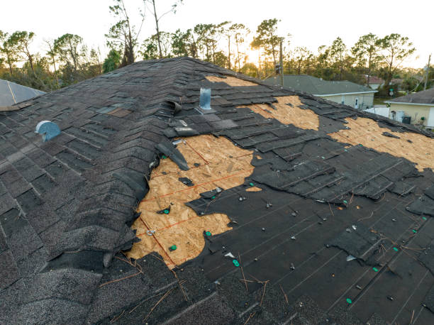 Best Storm Damage Roof Repair  in Hampton, GA